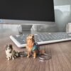 🐾 Fotoescultura 3D de tu Mascota  3cm