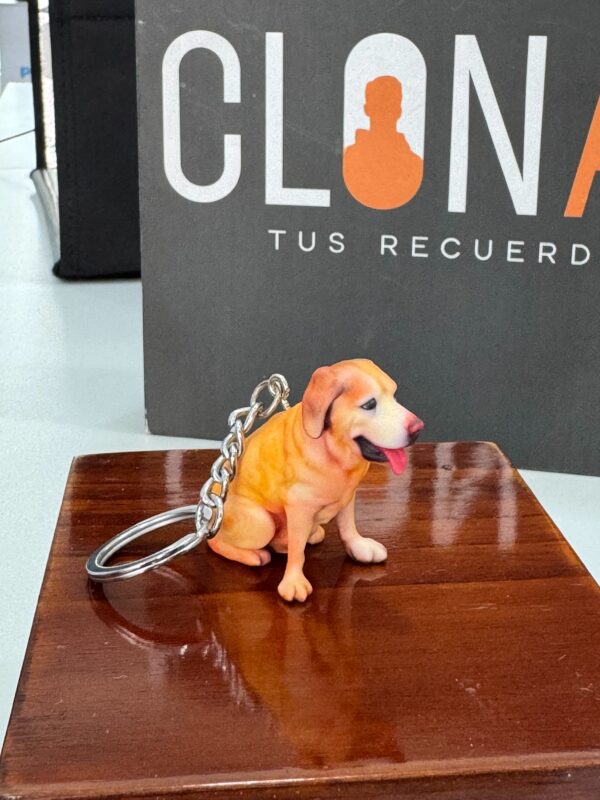 🐾 Fotoescultura 3D de tu Mascota  3cm