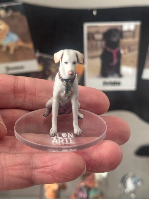🐾 Fotoescultura 3D de tu Mascota  3cm