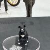 🐾 Fotoescultura 3D de tu Mascota  3cm