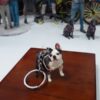 🐾 Fotoescultura 3D de tu Mascota  3cm