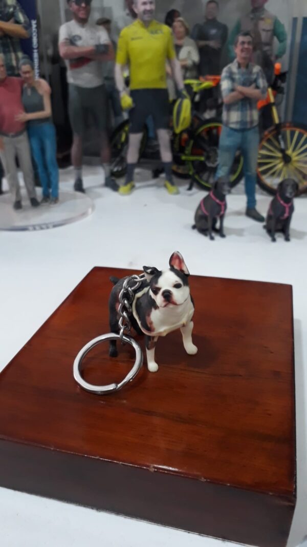 🐾 Fotoescultura 3D de tu Mascota  3cm